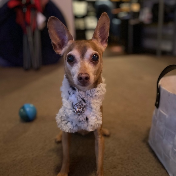 👋 Hi, I’m Ariel! Happy to be sharing fashion love - Picture 6 of 16